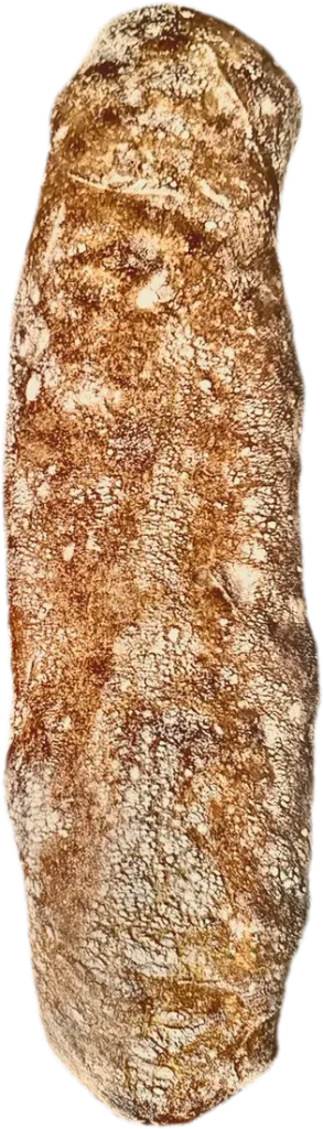 Pan Ciabatta